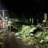 Ростовский апокалипсис: Улицы затопило, но жители без воды, деревья повалило — но десятки поездов стоят (На фото: городские службы продолжают устранять последствия вчерашней непогоды в Ростове. (Фото: max.…) На фото: городские с…