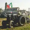 Итальянские фермеры на грани разорения (Итальянские фермеры на грани разорения) Итальянские фермеры …