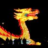 Китайский дракон | Rene Mensen