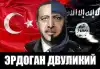 Эрдоган выбрал губительный для Турции путь. (Эрдоган двуликий) Эрдоган двуликий