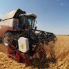 Россия снова стала всемирной житницей (Уборка пшеницы в Краснодарском крае | © РИА Новости, Виталий Тимкив) Уборка пшеницы в Кра…