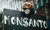 Америка сдает Украину компании 'Монсанто'
