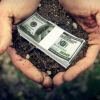 Рецепты МВФ для Украины: приватизация, продажа земли и пилюля верховенства права