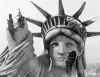 В США появились проблемы, приведшие к распаду СССР (Важнейшие для американского общества символы все больше теряют свою силу) Важнейшие для америк…