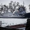 Голос Мордора: Российскому адвокату Порошенко – так держать!