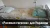 'Расовая гигиена' для Украины