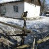 Эскалация хаоса. Хроники пикирующего перемирия (© РИА Новости, Сергей Аверин) © РИА Новости, Сергей Аверин