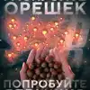 'Методично и показательно Россия готовит ответный удар. Спокойно, планомерно, по правилам. И неотвратимо'