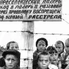 Преступления без срока давности: финские концлагеря и лагеря смерти