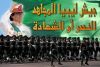 Ливийское Сопротивление на 29 декабря 2011 года (Ливийское Сопротивление) Ливийское Сопротивление