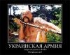 Украинская армия через год перестанет существовать.